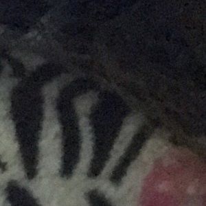 Meet your Posher, Sophie